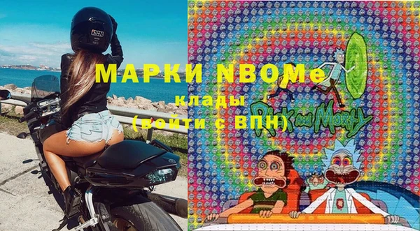 индика Вязники